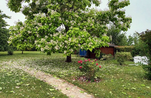 La Croix-en-Brie Casa | Le Clos Marie Véronique, gîte 11 pers near Provins