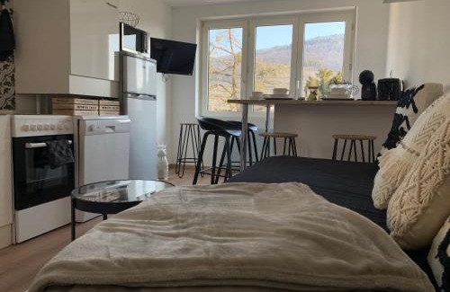 Guebwiller Apartamento | Le cocon