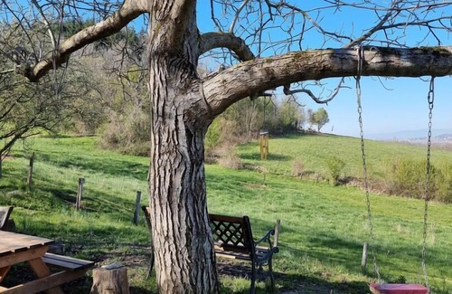 Marennes Casa | Le Cocon - MARENNES - Gîte