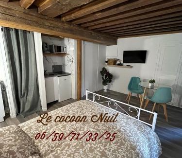 Nuits-Saint-Georges Apartamento | Le cocoon Nuits
