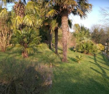 Sevremoine Casa | le coing