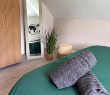 Quartier Saint-Leon Apartamento | Le Col'Vert - Appartement 50m2 - Colmar Centre