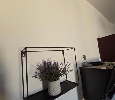 Bras Apartamento | Le colibris