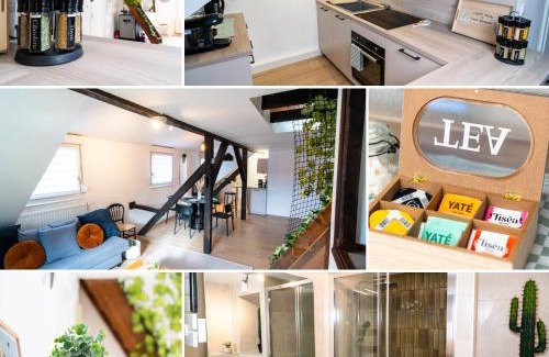 Schiltigheim Apartamento | Le Cosy du Brasseur - Magnifique Duplex Schiltigheim, Proche Strasbourg