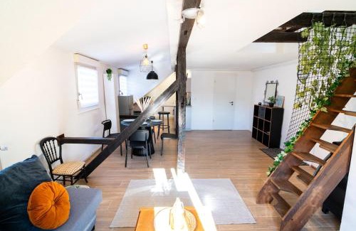 Schiltigheim Apartamento | Le Cosy du Brasseur - Magnifique Duplex Schiltigheim, Proche Strasbourg