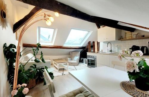 Notre-Dame Apartamento | Le Cosy Macaron - Au cœur de Versailles