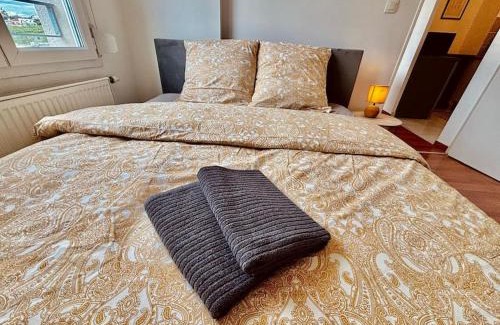 Pfastatt Apartamento | Le Cotonnier - Pfastatt Mulhouse