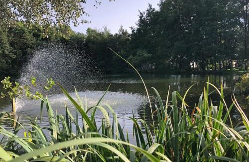 Bourbourg Casa | Le Cottage de l etang