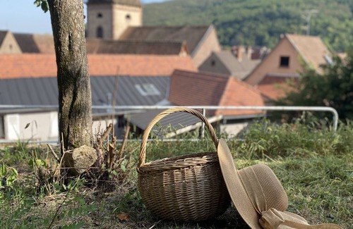 Kaysersberg-Vignoble Casa | Le Cottage ****, 4-bedroom house in the heart of the historic center of Kaysersberg, with parking facilities.