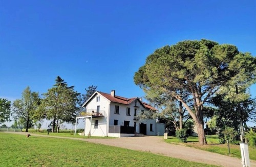 Brens Cabaña | Le Cottage Nature Vigne Rouge Clim Gaillac 🐕👍 ★ Les Cottages du Tarn ★