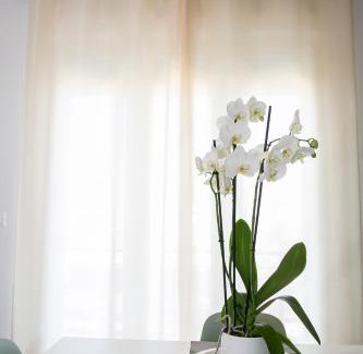 Tiche Apartamento | Le Dimore di Tommaso
