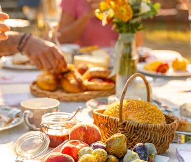 Chasse-sur-Rhone Cama Y Desayuno | LE DOMAINE DE GORNETON