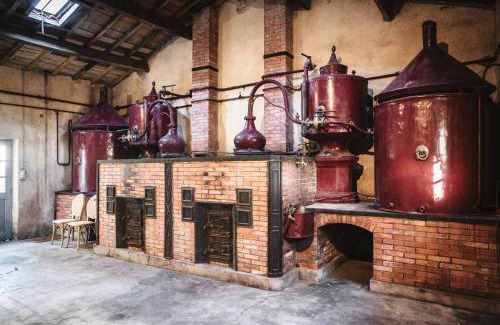 Mareuil Cama Y Desayuno | Le Domaine des Tilleuls