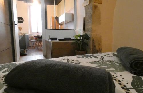 Dijon Centre Ville Apartamento | Le Duché - Séjour romantique avec balnéo privative - Dijon centre