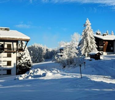 Le Planellet Apartamento | Le FLOCON du Mont Darbois classé 3 étoiles