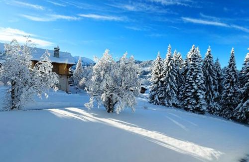 Le Planellet Apartamento | Le FLOCON du Mont Darbois classé 3 étoiles