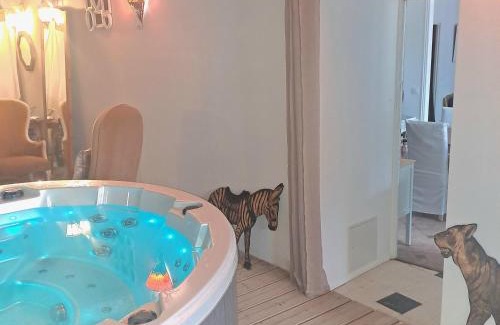 Sainte-Valiere Casa | Le gîte de Sainte Valière PISCINE,SPA et CLIMATISATION