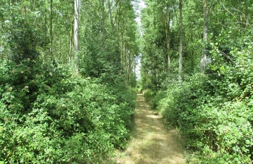 Vonnas Casa | Le Gîte des Teppes - Vonnas