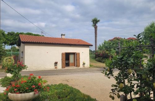 Saint-Arroumex Casa | Le gite de Gayssanes