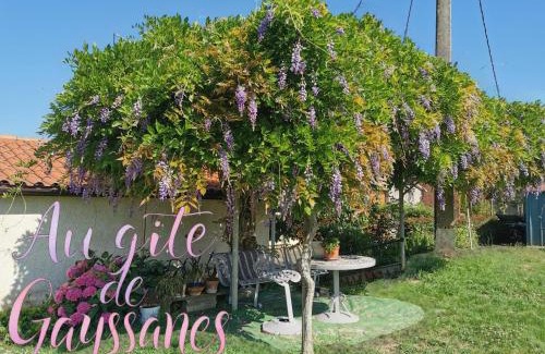 Saint-Arroumex Casa | Le gite de Gayssanes