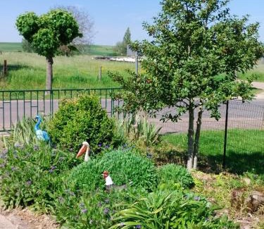 Hampont Casa | Le grain de sel