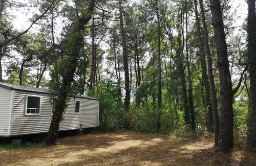 Camiers Otro | LE ILÔ - camping la dune blanche