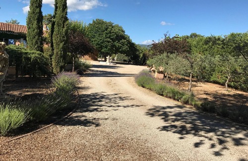 Saint-Saturnin-les-Apt Casa | EL JARDÍN DE ALBIORICA