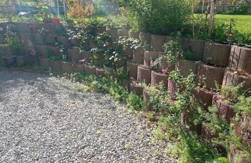 Volgelsheim Apartamento | Le jardin d'Horace o Im Garten von Horaz