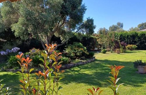 Ventiseri Apartamento | Le jardin de Domi