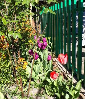 Saint-Pierre-d'Autils Casa | Le Jardin des Merveilles