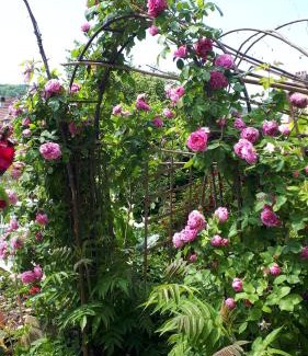 Saint-Pierre-d'Autils Casa | Le Jardin des Merveilles