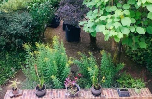 Thesee Casa | LE JARDIN DE LA PICHONNERIE Chambres d'hôtes
