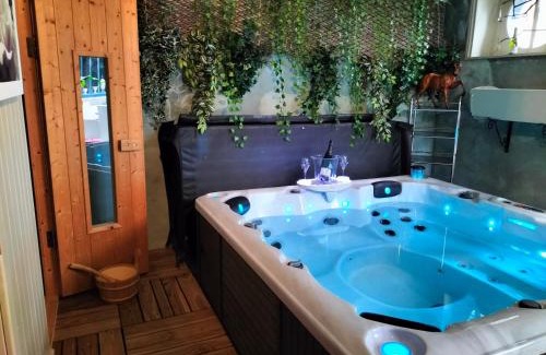Saint-Brieuc Casa | Le Jardin Secret & Spa - Appartement 2 Chambres