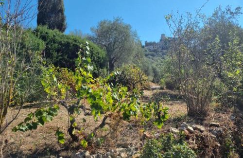Tourrette-Levens Casa | Le Jas