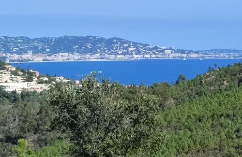 Mandelieu-La-Napoule Apartamento | Le JASMIN
