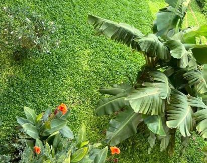 Niamey Apartamento | Le Lézard Vert, Maison d'Affair à Niamey