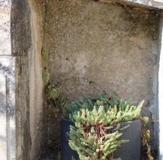 Bourg-Saint-Andeol Apartamento | Le Laoul cottage 2 people