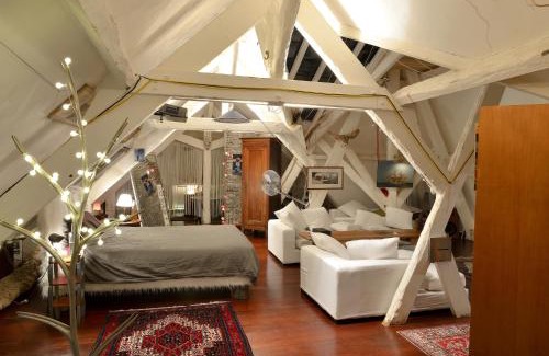 Gaudiniere Apartamento | Le Loft de l'artiste