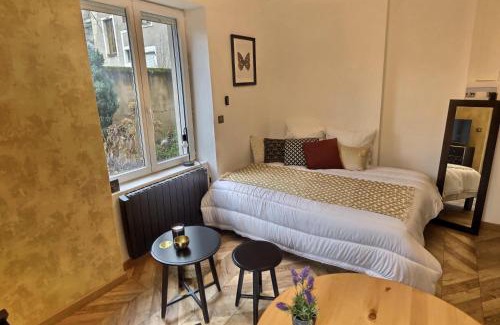 Nouvelle Ville Apartamento | Le Mangin - Studio avec terrasse