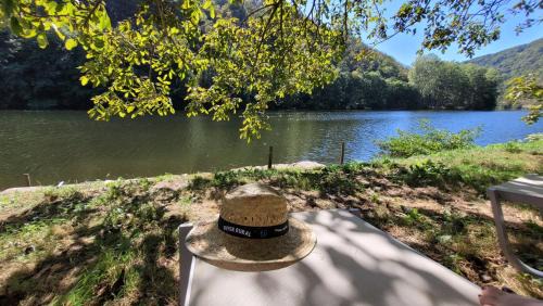 Grand-Vabre Cama Y Desayuno | Le Manoir des Pélies Gîte et Chambres d'hôtes de charme à 7kms de Conques Spa, Piscine, Rivière, Thermes de Cransac