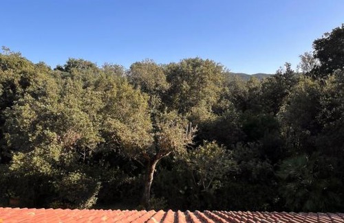 Punta Ala Apartamento | Le Mimose