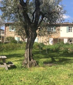 Massa e Cozzile Cama Y Desayuno | Le Molina B&B