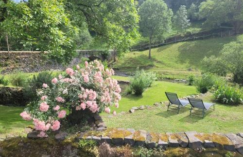 Saint-Arcons-d'Allier Cama Y Desayuno | le moulin