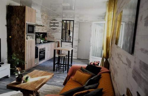 Faubourg Sud Casa | Le Néflier Dijon - appart balnéo - SPA romantique pour 2