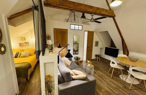 Rodez Apartamento | Le Néo au 17, appartement cosy dans le centre historique de Rodez