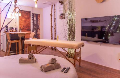 Vierzon Apartamento | Le Nichoir Cosy : Évasion Bien-être et Massage