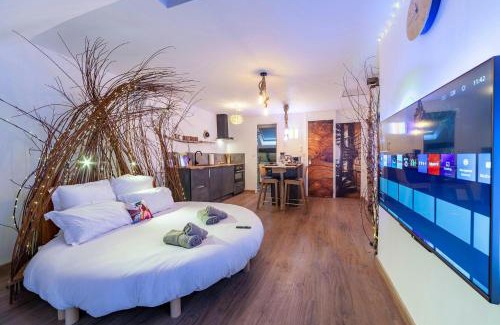 Vierzon Apartamento | Le Nichoir Cosy : Évasion Bien-être et Massage