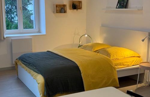 Mulhouse Apartamento | Le Nid de Louise, near highway