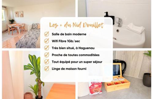 Haguenau Apartamento | Le Nid Douillet - Parking Included - Haguenau