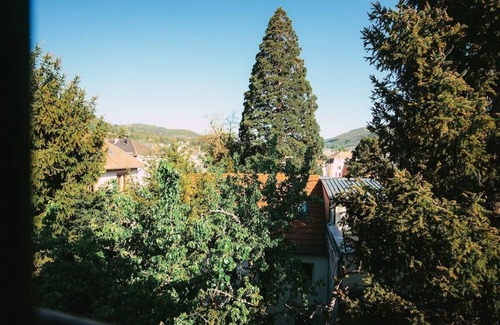Guebwiller Apartamento | Le Nid I Charming one-roomed flat